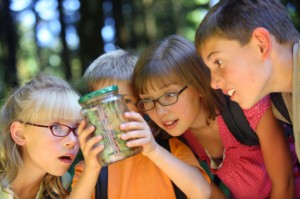 Students looking at Bug in Jar 300x199 Learning Styles & Children 