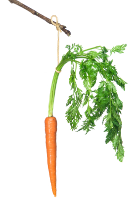 carrot on a stick External Motivation: The Quick Fix that Doesn’t Last