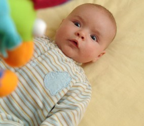 Internal Motivation: Present From Birth