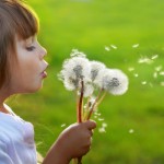 Girl-blowing-flower Girl-blowing-flower