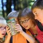 Students-looking-at-Bug-in-Jar