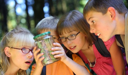 Learning Styles and Children