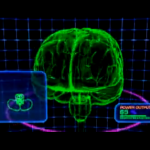 brain-functions brain-functions