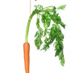 Carrot on a stick