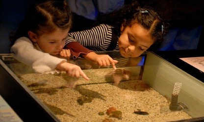 Museum Learning Exhibits and Early Learners