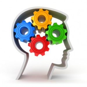 brain types