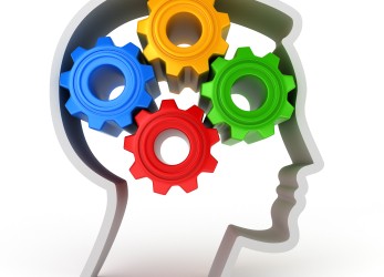 Good at Math? Good at Science? What’s Your Brain Type