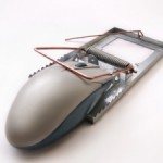 mouse-trap-and-mouse-300x225 mouse-trap-and-mouse-300x225