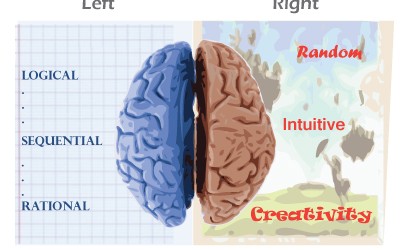 Left Brain Vs. Right Brain Function in Learning
