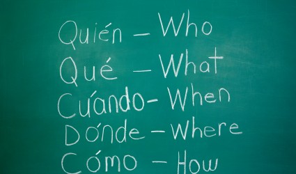 Language Learning and Age