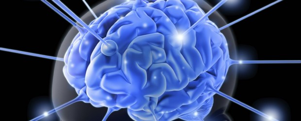 Whole Brained Teaching