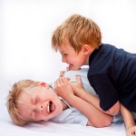 iStock_000010063418XSmall
