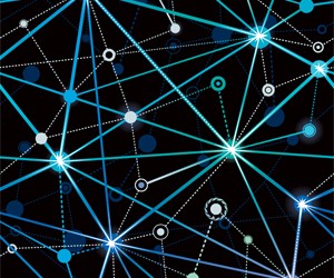 The Brain’s Biology: A Negative Feedback Loop System